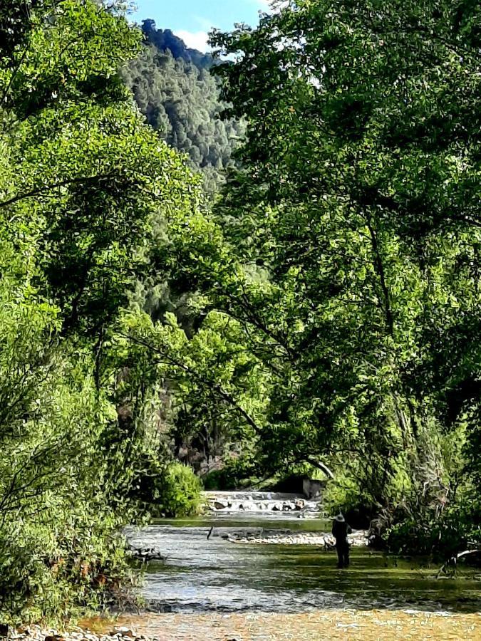 Casas Rurales Tio Frasquito Y Cleto ジェステ エクステリア 写真